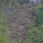 20112308130806-498.jpg
